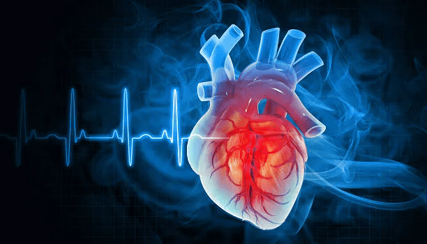 Heart Disease Prediction